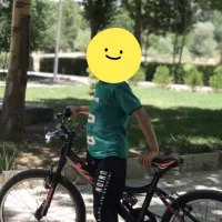 دوچرخه ویوا سایز 20