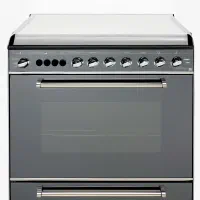 فرگاز سانی فر