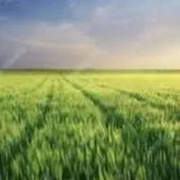 فروش-زمین-کشاورزی