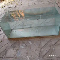 اکواریوم بزرگ|لوازم جانبی حیوانات|کرج, شهرک سهرابیه|دیوار