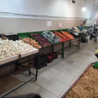 لوازم میوه فروشی طبق یخچال