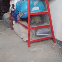 ویترین.۴طبقه.باشیشه سالم