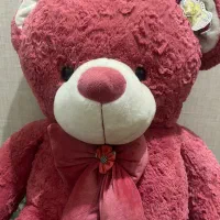 خرس|اسباببازی بچه|خوی, |دیوار