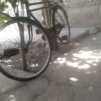 دوچرخه سه مار دست دوم مدل فونیکس