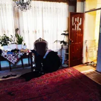 120متر دونبش شمالی فلسطین