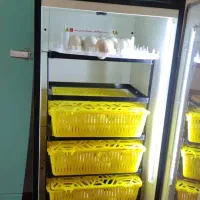 دستگاه جوجه کشی