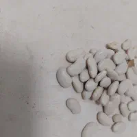 لوبیا سفید|خوردنی و آشامیدنی|اردبیل, |دیوار