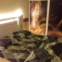 اجاره سوییت|اجارهٔ کوتاه‌مدت آپارتمان و سوئیت|مشهد, توس (بلوار توس)|دیوار