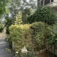 65 متر اخوابه  دربند اسدالهی باغ شاطر