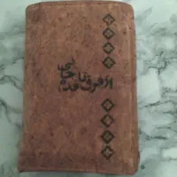 پیدا شده