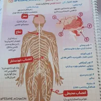 جزوه زیست یازدهم