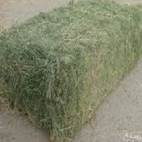 یونجه خشک ۹۰ سانتی ۶۰ عدد