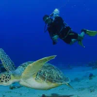 غواصی در قشم