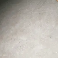 موکت