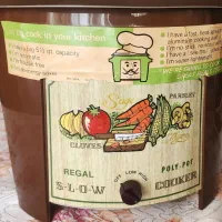 آرام پز برقی اتوماتیک ریگال پلی پات - مدل ۱۹۷۵|کلکسیون اشیاء عتیقه|تهران, هفت حوض|دیوار