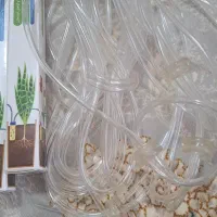 آبخوان گل|گل و گیاه طبیعی|هشتگرد, فاز ۲ مهستان|دیوار