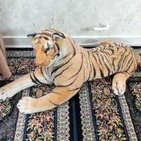 ببر زیبا و سالم