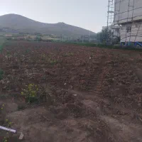 زمین باغی سولان