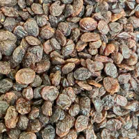 کشمش آفتابی و شیره خرما