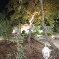 ویلاباغ سرسبز