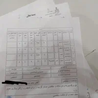 قلفتی دور دیوار قابل ساخت قابل معاوضه 110متری سند|فروش زمین و ملک کلنگی|مشهد, شهید قربانی|دیوار