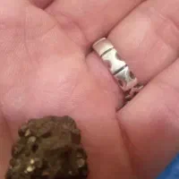 اشیاء عتیقه|کلکسیون اشیاء عتیقه|اصفهان, تخت فولاد|دیوار