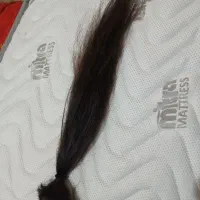 مو تقریبا ۴۵سانت