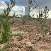 ۲۱۱مترزمین/سهیلیه/زعفرانیه/سنددار/اقساطی|فروش زمین و ملک کلنگی|رامجین, |دیوار