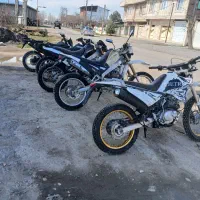 خریدو فرش انواع تریل  ۱۵۰تا ۳۰۰ ...