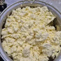 کره محلی گاو بشرط اصل