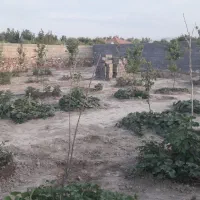 باغ فروشی سمندر|فروش خانه و ویلا|چناران, |دیوار