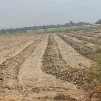 نیم هکتار زمین کشاورزی در دهنو املاک با آب کافی|فروش دفتر صنعتی، کشاورزی، تجاری|جیرفت, |دیوار