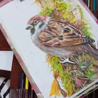 اموزش سیاه قلم ۷۰۰