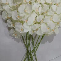 گلهای ارکیده ۸شاخه|گل مصنوعی|مشهد, طلاب|دیوار
