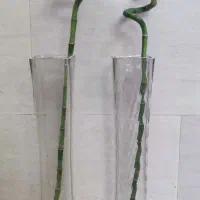 اسباب بازی قشنگ طبعی