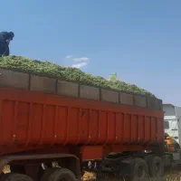 لبه کمپرس برای چاپروچغندر