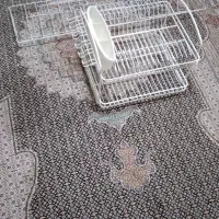 آبچکان|آب‌چکان و نظم‌دهنده ظروف|اردبیل, |دیوار