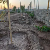 باغچه  حدودا ۲۰۰ متری در رو ستای شاه ابراهیم سیرو|فروش زمین و ملک کلنگی|قم, شاه ابراهیم|دیوار