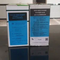 بذر چغندر اصلی دروتی اورسلینا