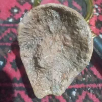 سینی وجاروبرقی وچاقوقدیمی|کلکسیون اشیاء عتیقه|بهار, |دیوار