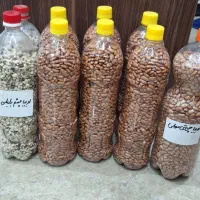 فروش  لوبیا محلی برای کاشت قیمت مناسب