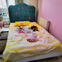 تخت خواب ثنا چوب