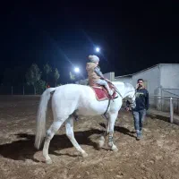 نیازمند ادمین حرفه ای.