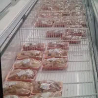 استخدام نیرو ساده فقط آقا