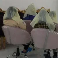 درمان شپش ورشک با محلول گیاهی با پزشک ایرانیان