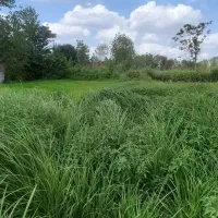 فروش زمین ۵۳۲ متری در پاکت سازی جاده ش آزموده|فروش زمین و ملک کلنگی|رشت, حومه رشت|دیوار