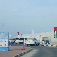 اسب|اسب و تجهیزات اسبسواری|میناب, |دیوار