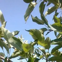 فروش سیم کارت