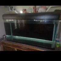 آکواریوم  شیشه خم