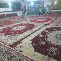 فرش|فرش|فاضل آباد, |دیوار